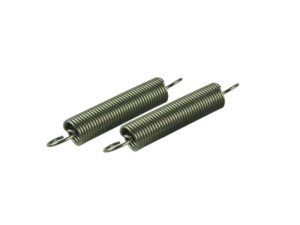 Fuji Electric Springs